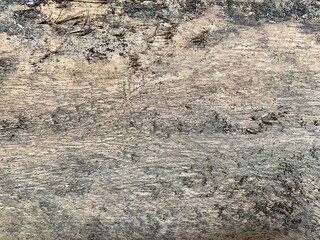 Wood wall texture from real object photography