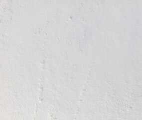 Snowy crust as an abstract background.
