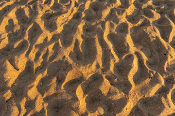 texture of the sand