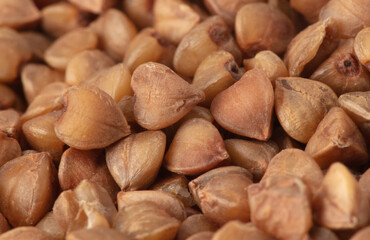 Close-up of buckwheat groats as background.