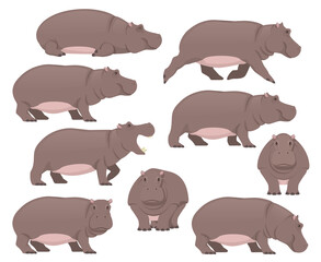 Set of a Hippo. African animals collection. Vector flat illustration isolated on a white background.