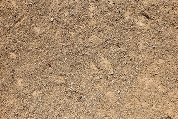  Closeup of arid ground texture