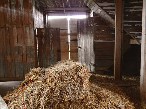 Hay piled in old barn
