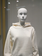 Mannequin of a girl in clothes on a showcase