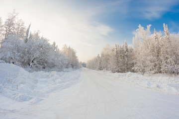 Beautiful landscape of winter forest. Panorama of the forest area with the road