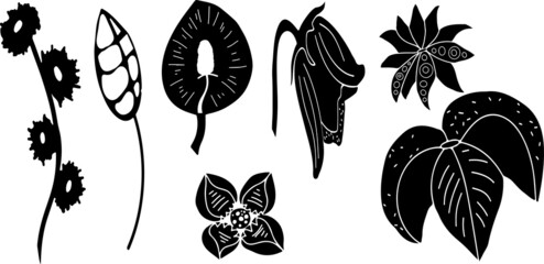 Set with exotic flowers for clipart 