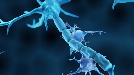 Microglia in pathogenesis of multiple sclerosis - obrazy, fototapety, plakaty