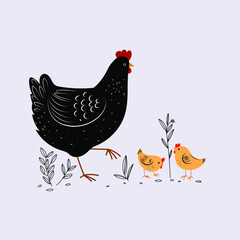 Cute and funny colorful farm rooster, chicken,cock, cockerel, cartoon vector illustration.