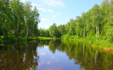 The pond in the forest