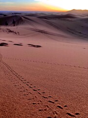 sand dunes in Sahara