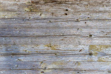Old grunge wood with peeling paint