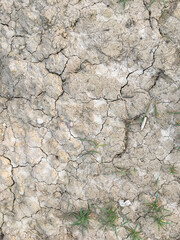 Dry soil closeup texture