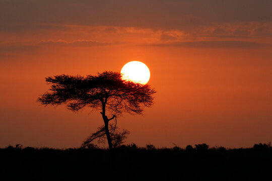 Early Morning Sun Rising over Tsavo East, Kenya