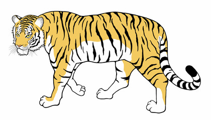 虎　振り向く　全身像