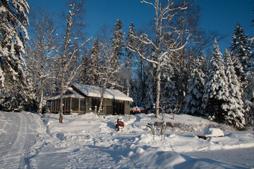 Cabin in the forest