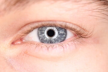 Fototapeta premium Blue eye illuminated by a circle of light