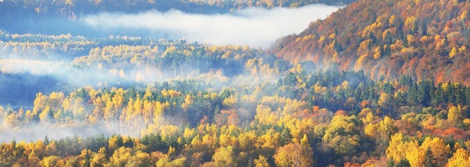 Breathtaking panoramic aerial view of the hills of colorful red, orange and yellow trees in a majestic evergreen forest in a morning haze. Fairy autumn landscape. Gauja national park, Sigulda, Latvia