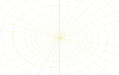 toile d’araignée, fond blanc