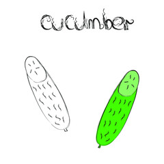 Green cucumber for coloring. Vector illustration of vegetables. Cucumber icon. Sketch