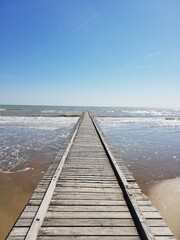 Fototapeta premium d