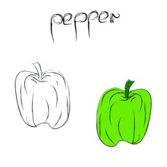 Illustration of a sweet green pepper with his name in English. Study guide for children. Vector illustration