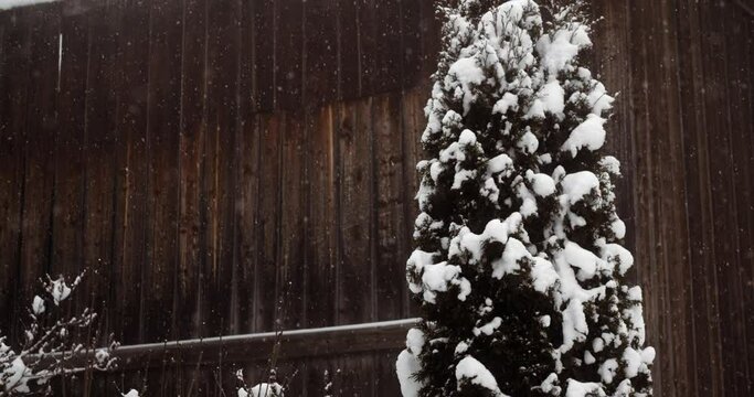 Flocons de neige au ralenti