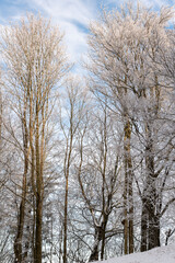 Mostviertel in winter