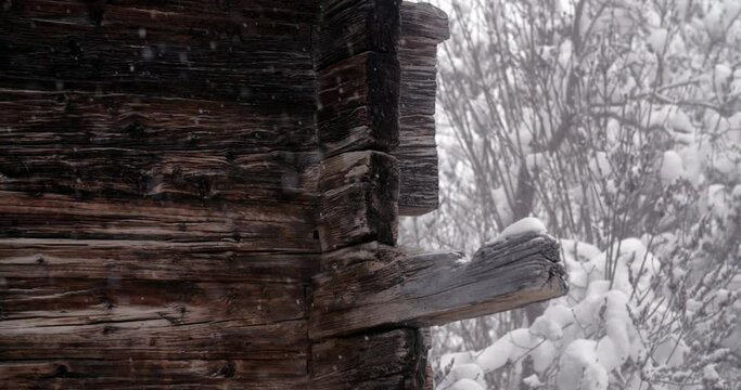 Chute de neige au ralenti