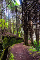 Madeira - Santo António da Serra