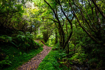 Madeira - Santo António da Serra