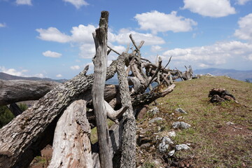 Country tradition wooden fence on the hill with blue sky background.