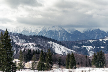 snow covered mountains