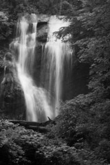 Cascading river in Black and White