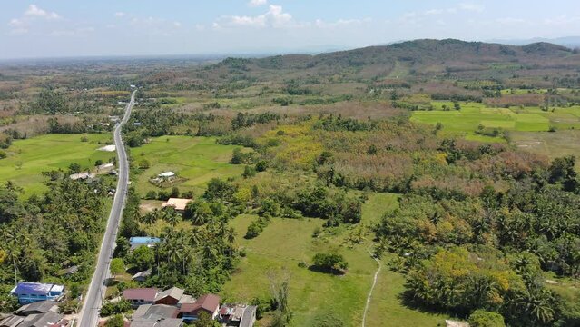 Aerial view of rice field in countryside,fly forword in bird view,taken from a high angle.
