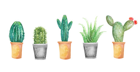 Watercolor floral cactuses set © Monica