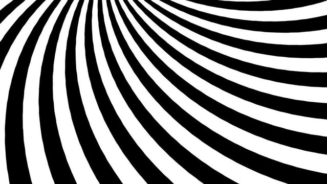 Abstract background with black and white stripes.Seamless loop video.