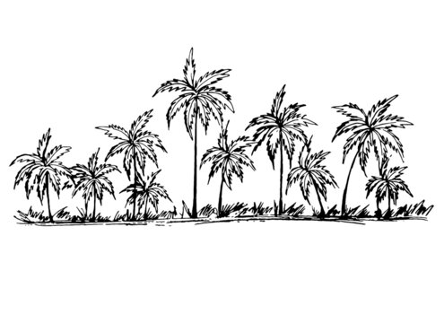 On a white background, a black outline of a beach with palm trees