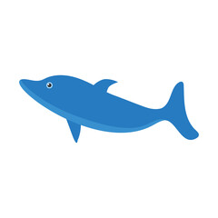 Dolphin on a white background for use in website design