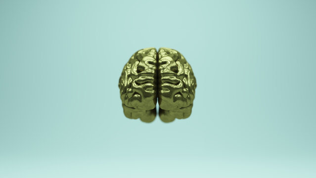 Brain Gold Bronze Front Old Brass Anatomy Mind Power Reflection 3d illustration render