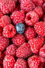 Close up top view of raspberries.