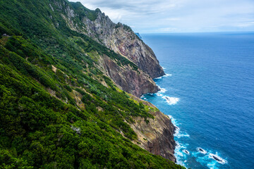 Fototapeta premium Madeira - Machico