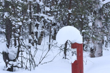 Quarterly red column in the winter forest