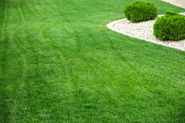 Backyard with natural green grass, fresh lawn 