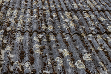The old slate roof is covered with green moss and dry foliage. The concept of replacing the roof. Roof repair