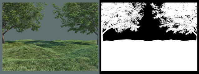 Plants and flowers in front of the camera
