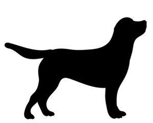 dog silhouette ,on white background