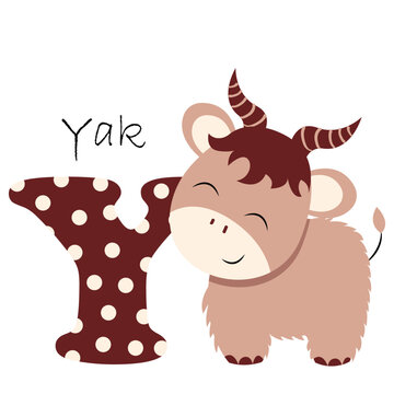 Illustration for the English alphabet with the image of a yak, for teaching young children with beautiful typography. ABC - Letter y