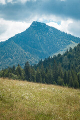 Mountain view in the summertime