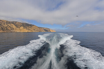 Fast boat wake.