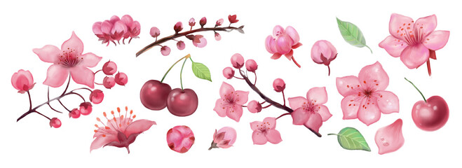 Set of elements of flowers and berries of cherry. Drawn flowers, digital realistic painting. Sliders for nail design. Flower elements for decoration.